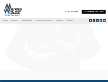 Tablet Screenshot of networthstrategies.com